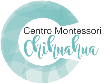 centro M chih-removebg-preview
